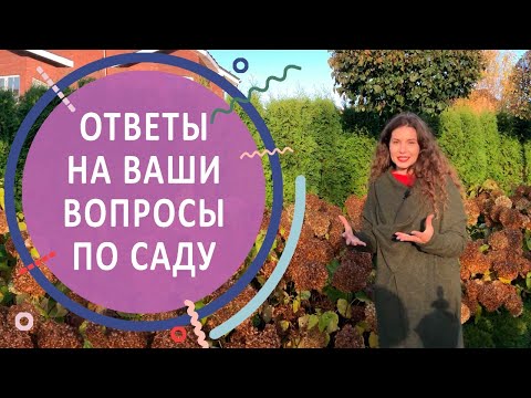 Видео: Ответы на вопросы по саду с гортензиями в КП "Никольские Озёра"