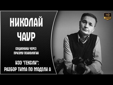 Видео: ИЭЭ “Гексли“׃ разбор ТИМа по модели А | Николай Чаур