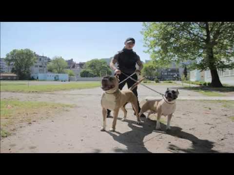 Видео: Denkata & Безим Man - Мръсни Номера