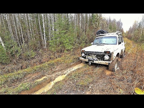 Видео: ''ТАЙГА'' ЗАГОТОВИЛ СМОЛЯК! ЧТО ЗА ВЫШКА БЫЛА В ТАЙГЕ! ВЫВОЖУ ВЕСЬ МЕТАЛЛ