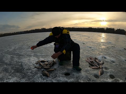 Видео: Пан - карась здурів ● Якщо ловити то тільки так ●  RoMaX Fishing ●