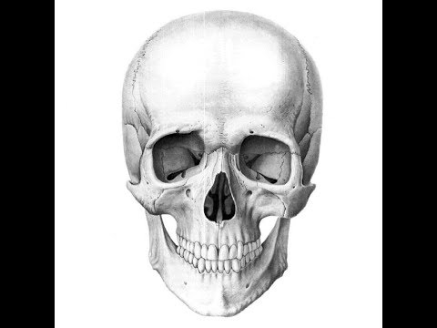 Видео: Последствия жизни по Южному Узлу. Череп, гроб, могила. И вдоль дороги мертвые с косами стоят