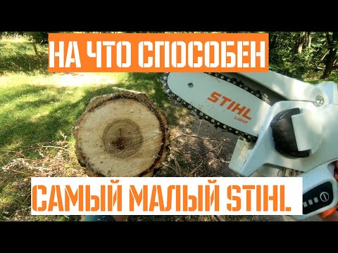 Видео: Самая маленькая пила STIHL GTA 26 на аккумуляторе | Тест и обзор