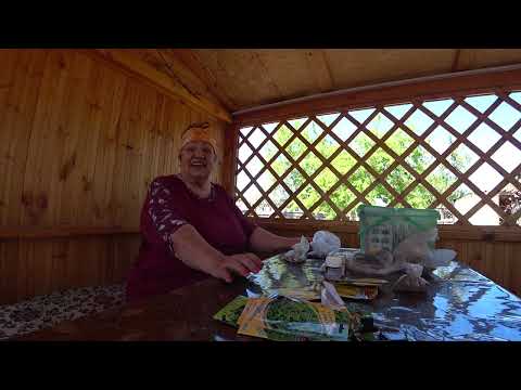 Видео: УДАЧНЫЕ ВЫХОДНЫЕ/БОИМСЯ ОТЦА поэтому не БЕРЁМ на ДАЧУ/Мама НАХВАЛИВАЕТ ЗЯТЯ / Посевная#дача #влог