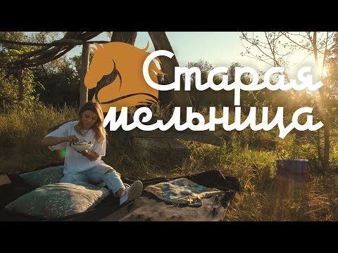 Видео: Липецкая Земля #1 Донской лес/парк Облака/конный двор Богатица/Старая мельница/Галичья гора