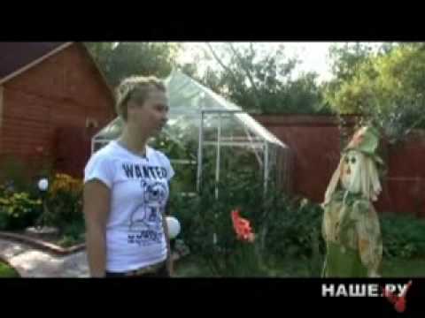 Видео: Группа "Пелагея" отдыхает)))