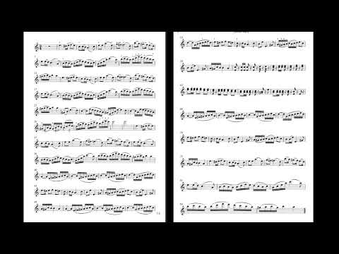 Видео: Полонез Огинского ноты минус, БД