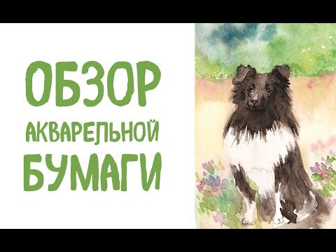 Видео: Обзор акварельной бумаги. Claire Fontaine, Fabriano, Arches, SM LT,  Potentate