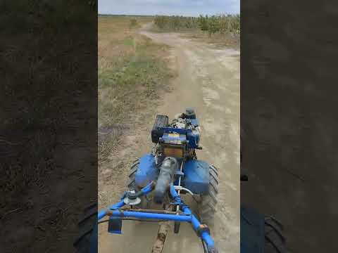 Видео: Здраствуйте 