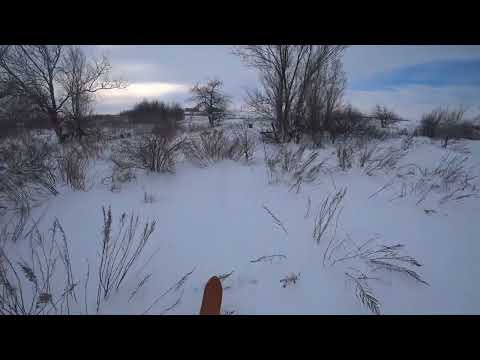 Видео: Досадная осечка