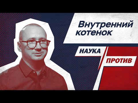 Видео: Зоопсихолог против мифов о поведении кошек // Наука против