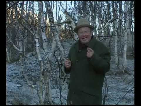 Видео: Барду. Норвегия. Путешествия натуралиста