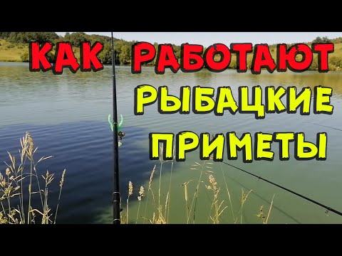 Видео: Как работают рыбацкие приметы