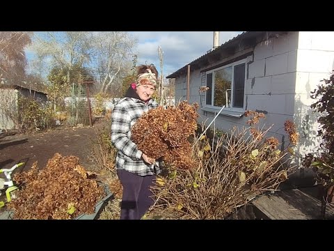 Видео: Зайнялася квітниками/Малий день працюємо у ночі/Хочеться встигнути до дощу
