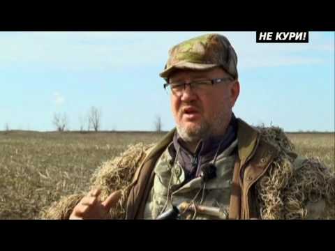 Видео: Тонкости гусиной охоты. Охота на гусей . 2018