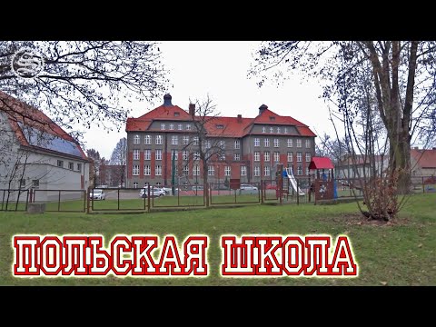 Видео: Закупы, школа и работа в Польше.