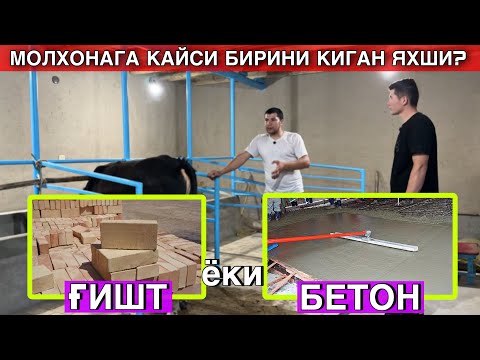 Видео: БУНИ БИЛМАСДАН ОЛДИН МОЛХОНА КУРМАНГ! Доктор хаммасини айтди😳 #молхона #куриш #2025