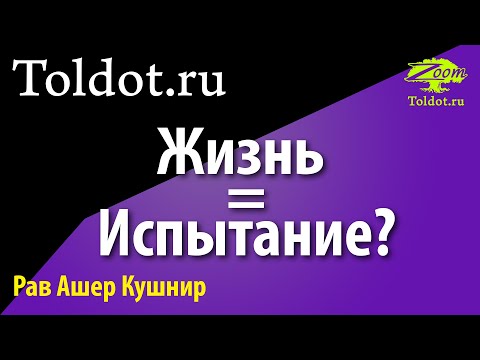 Видео: Говорят, что жизнь — это испытание. Не хочу! Рав Ашер Кушнир.