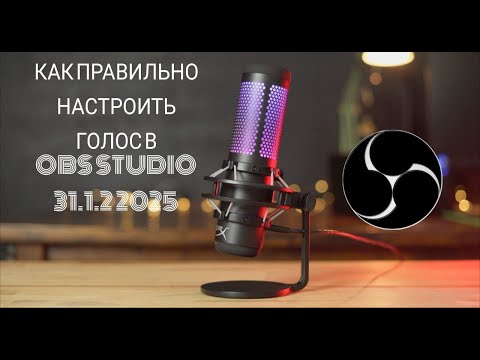 Видео: КАК ПРАВИЛЬНО НАСТРОИТЬ ГОЛОС В OBS 31.1.2 2025 #настройкаголоса #obs #obsstudio #помощьлюдям