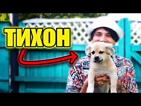 Видео: ОБЗОР НА ТИХОНА! Пёсик, который ломает спагетТи!