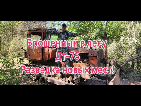 Видео: Металл еще есть, разведка новых мест!!! Металлокоп!!!