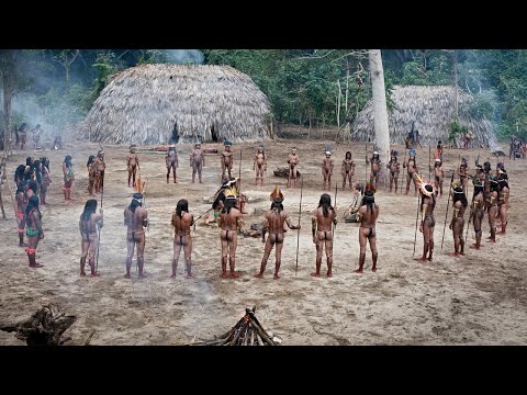 Видео: Люди отправляются на поиски города Z и сталкиваются с племенем КАННИБАЛОВ [краткий пересказ]