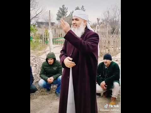 Видео: 26 августа 2025 г.