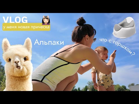 Видео: VLOG123// УСПЕХИ И ОТКАТЫ С ГОРШКОМ. ФЕРМА АЛЬПАК⛅️ Я РЕШИЛАСЬ НА ЧЕЛКУ💆🏻‍♀️