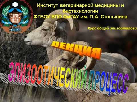 Видео: Видеозанятие 5. Эпизоотический процесс