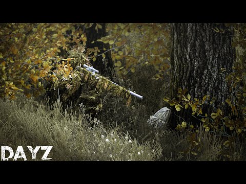 Видео: Выслеживаю читеров каждый день - DAYZ