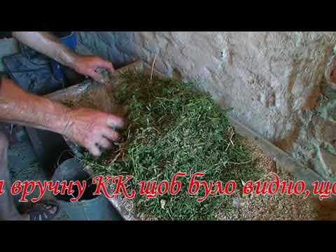 Видео: Гранулятор бытовой ГКМ100 в работе с сеном люцерны