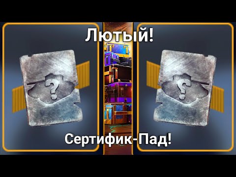 Видео: Такого Сертификпада 🎁 ещё никто не видел! в WoT Blitz