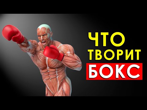 Видео: Что Произойдет с Вашим Телом, Если Заниматься Боксом