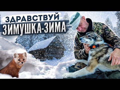 Видео: Промысел Куницы. Ребята, возьмите меня с собой !!!