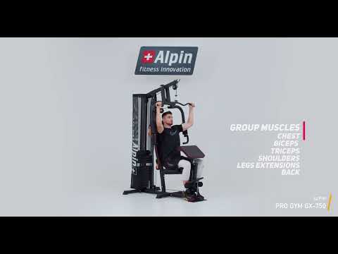 Видео: Силовой тренажер Alpin Pro Gym GX 750