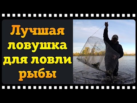 Видео: Лучшая ловушка для ловли рыбы. Финская катиска рулит.