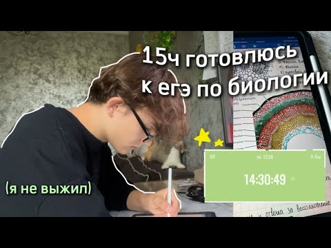 Видео: готовлюсь 15 часов без отдыха к егэ по биологии весь день *все плохо*