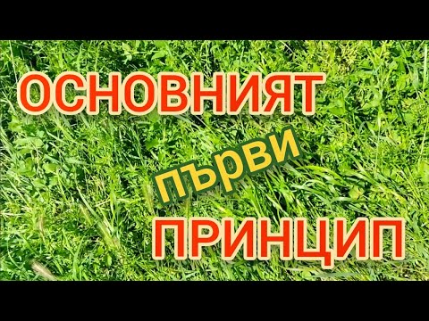 Видео: ОСНОВНИЯТ първи ПРИНЦИП | @ВЕКТОР