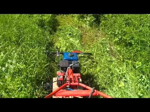 Видео: Работа роторной косилки Заря с мотоблоком Салют.