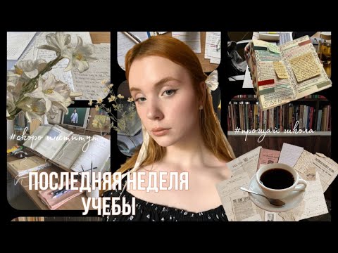 Видео: Последняя неделя школы ✶⋆.˚( ЕГЭ, слезы, пробники)