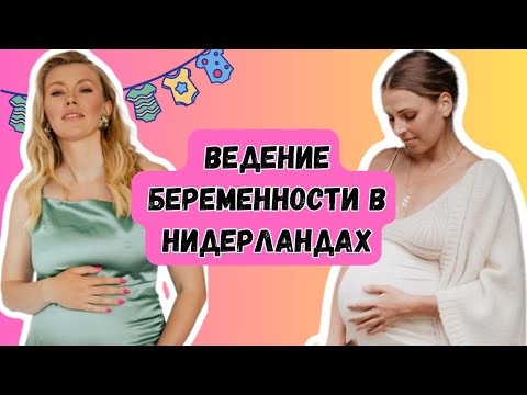 Видео: Ведение беременности в Нидерландах
