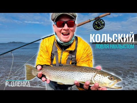 Видео: Ловля нахлыстом на реке Олёнка