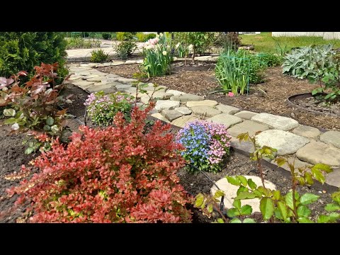 Видео: Весна в саду🌷, апрель