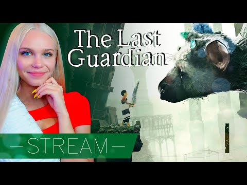 Видео: НАШИ НЕ ОЧЕНЬ МЕНЬШИЕ БРАТЬЯ 🐾 THE LAST GUARDIAN [прохождение PS5] 🔴 СТРИМ #1
