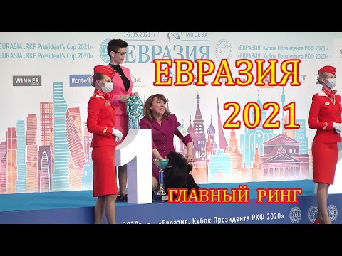 Видео: Евразия 2021. Главный ринг