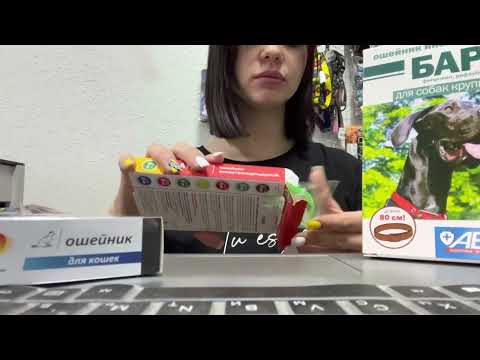 Видео: АСМР ЗООМАГАЗИН какой ошейник выбрать? ASMR шепот, триггеры, картон