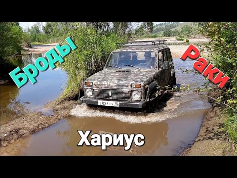 Видео: ВВД в Верховья Читинки за раками