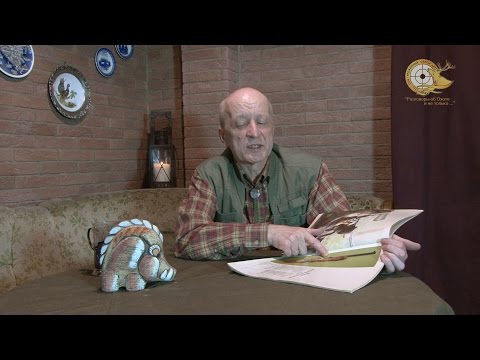 Видео: Ответы на вопросы: Mauzer или Sauer? Browning A5 и др. (выпуск 26)