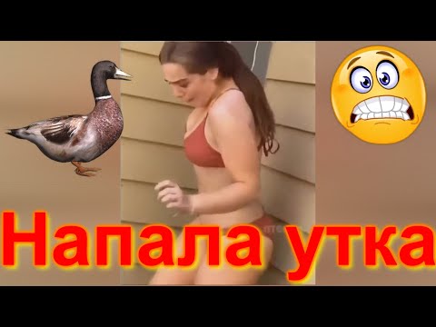 Видео: Смешное Видео Ржачно до Слез!!! №6 l 11 Минут Смеха