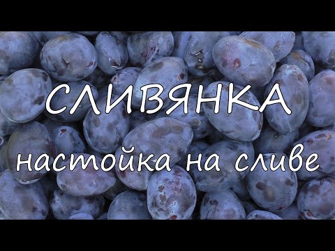 Видео: СЛИВЯНКА. Настойка на сливе.